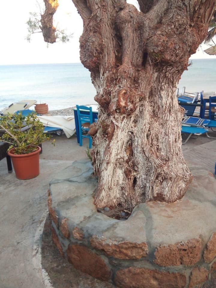 Beachfront Apartment Kato Zakros Exterior photo